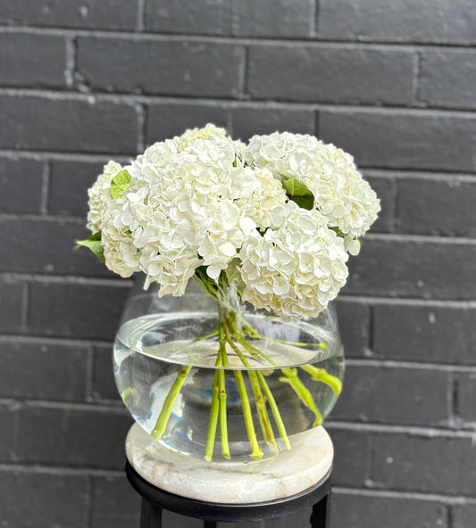 White Hydrangea Fishbowl Vase Arrangement
